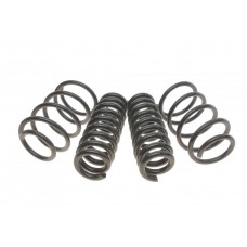 Комплект пружин (Pro-Kit) BMW 3 (F30/F80)/4 (F32/F82) 11- (4 шт.) (для авт. без рег. дор. просвіту)