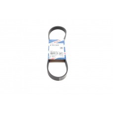 Ремінь генератора VW Polo/Skoda Fabia 1.4/1.9TDI 05-/Nissan Almera/Primera 1.5-1.8 00-08 (6PK820)