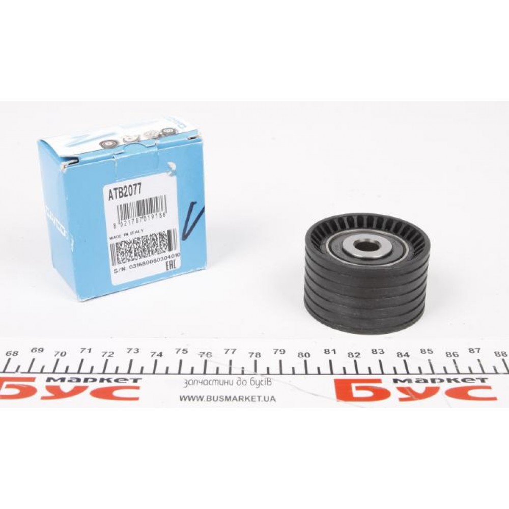 Ролик ГРМ Renault Kangoo 1.6i/Megane 1.4i/1.6i 16V 01- (паразитний) (54х32)