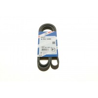 Ремінь генератора поліклиновий VW T5/Amarok 2.0TDI 09-/Ford Focus/Kuga/Galaxy 98-/Opel Astra J/Insignia A 1.6 08- (6PK1555)