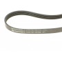 Ремінь генератора Volvo S40/S60/S80/V40/V60/V70/XC60/XC70 00- (5PK1121)