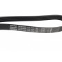 Ремінь генератора Fiat Doblo 1.3D Multijet/1.3JTD/Ford Focus 1.8/2.0 04- (6PK1306)