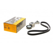Комплект ременя генератора Audi A3/Seat Leon/Skoda Octavia/VW Caddy 1.4-2.0LPG 95-15, (6DPK 1195)