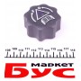 Кришка бачка розширювального Citroen Jumpy/Fiat Scudo/Peugeot Expert 1.9/2.0 JTD 98-06