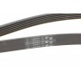 Ремінь генератора Peugeot 206/306/4007/406/4007/Citroen C5 1.9TD/2.0/2.2HDI 96-/Ford Galaxy 2.2 08-
