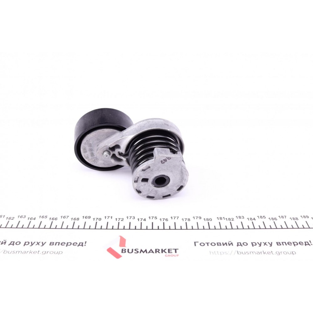 Натяжник ременя генератора Renault Kangoo 1.5dCi 09-