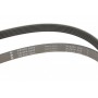Ремінь генератора Chevrolet Captiva/Opel Antara 2.0CDTI 06- (6PK2065)