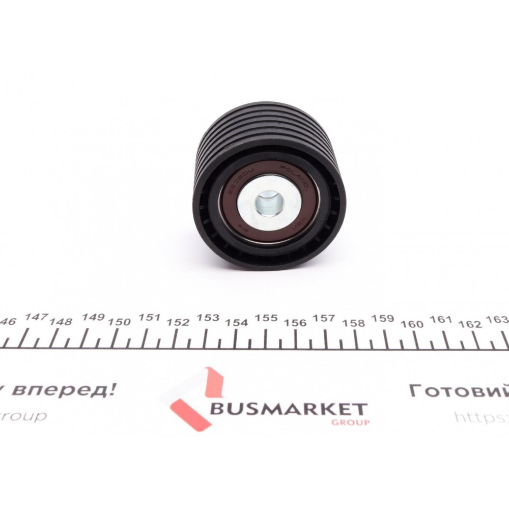 Ролик ГРМ Renault Kangoo 1.6i/Megane 1.4i/1.6i 16V 01- (паразитний) (54х32)