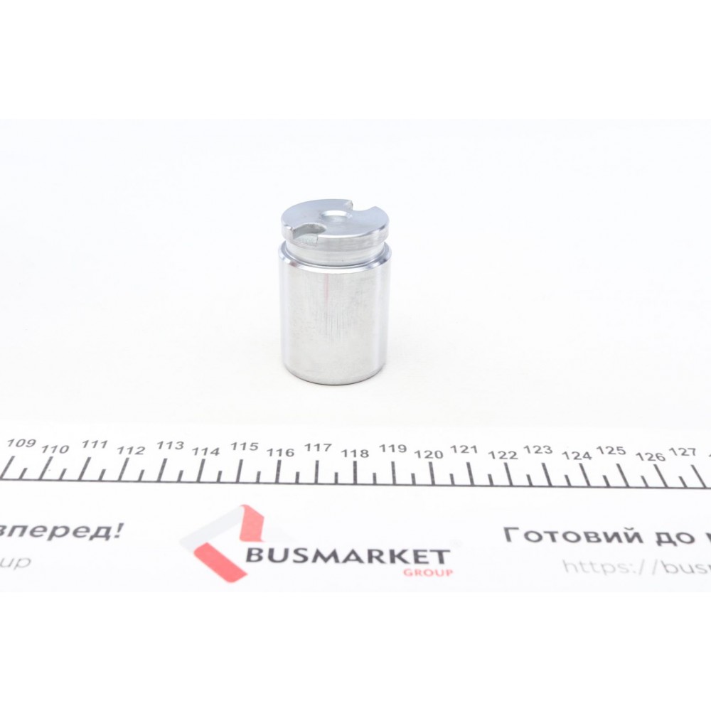 Поршень супорта (заднього) Hyundai Elantra 00-06/Kia Cee'd 12- (34x48mm) (TRW)