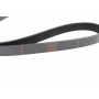 Ремінь генератора Renault Kangoo/Logan/Scenic/Talisman 1.4/1.5 dCi/1.6 03-/Mazda 3/CX-3 1.5/1.8D 15-