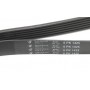 Ремінь генератора Ford Connect 1.8Di/TDCi 02-08 (6PK1425)