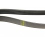 Ремінь генератора MB W202/210 M112/113 97- (6PK2300)