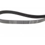 Ремінь генератора MB C-class (W202)/E-class (W211) 2.2CDI/2.7CDI 98-09 (OM612)(6PK2253)