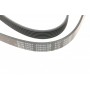 Ремінь генератора VW Golf/VW Bora 2.3 -00/ Hyundai i30/ i40 2.0 CRDi/GDI 07-