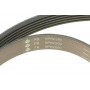 Комплект ременя генератора MB Sprinter/Vito 2.2-2.7 CDI 00-06 (6PK2260)