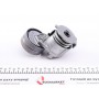 Натяжник ременя генератора Renault Scenic/Megane II/III 1.9dCi/2.0 16V 03-