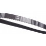 Ремінь ГРМ Nissan Primera/Renault Megane III 1.9 dCi 02- (133x26)