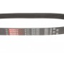 Ремінь генератора Citroen Jumper/Fiat Ducato 2.8HDi/JTD 00- (ALT,WP)