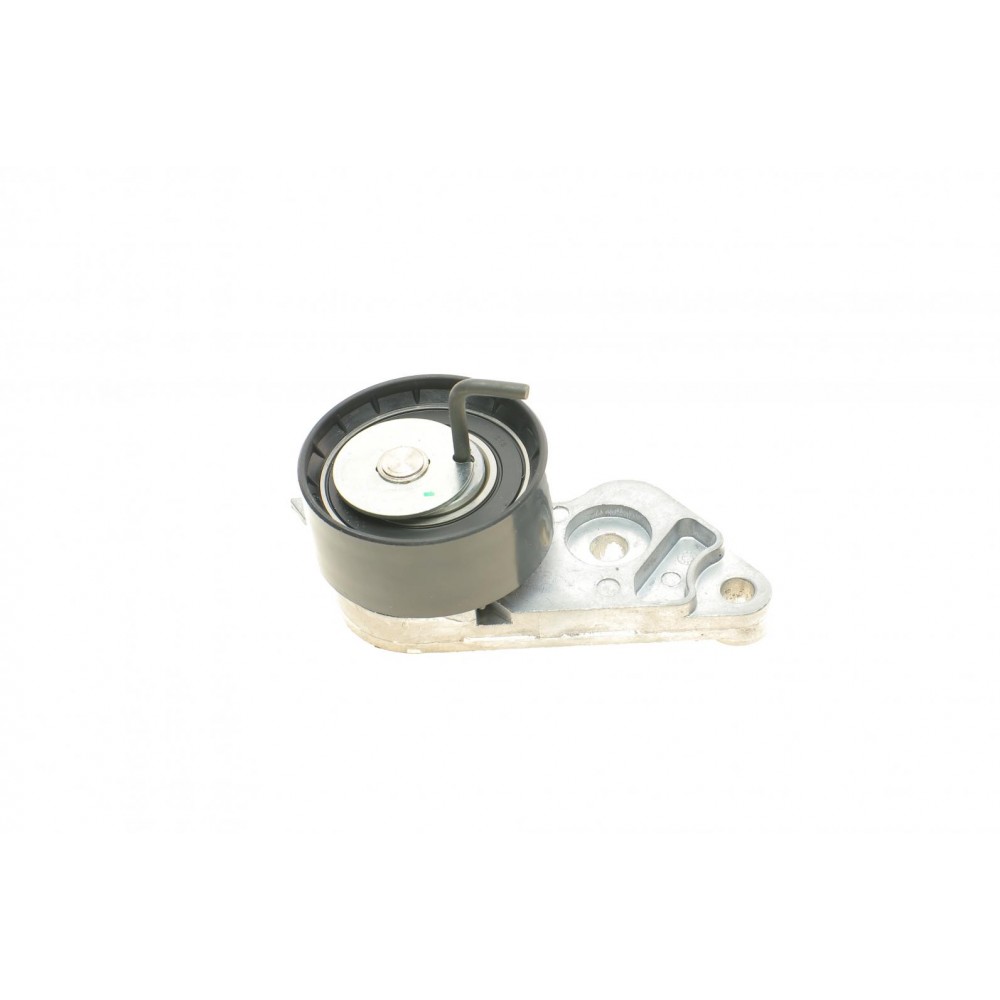 Комплект ГРМ Mazda 2/Ford Fiesta/Focus/Volvo S40/V50 1.25i-1.6 16V 95- (22x117z)