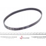 Ремінь генератора Opel Movano 2.8DTI 98-01/VW Crafter 30-35 2.0TDI 11-
