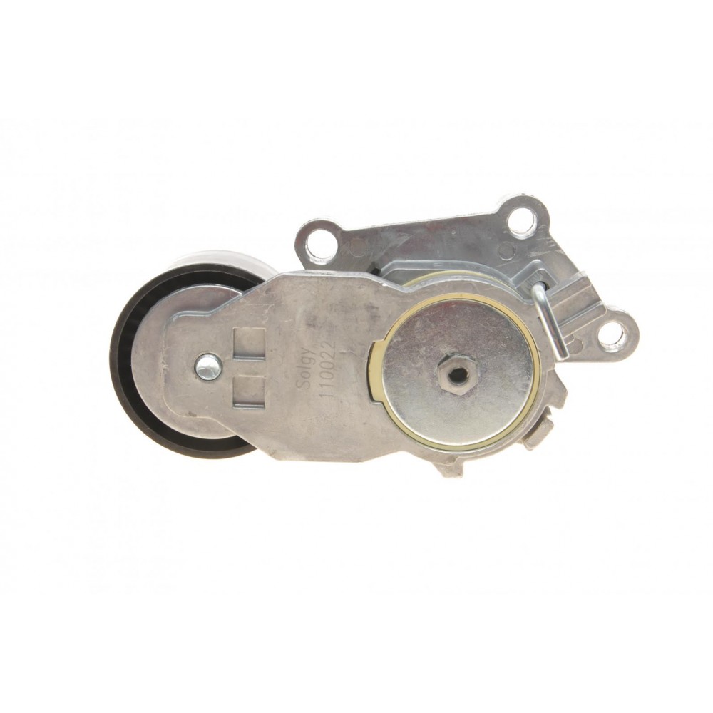 Натяжник ременя генератора Citroen/Peugeot/Ford 1.4HDi/1.6TDCi 01-