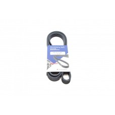 Ремінь генератора VW LT 2.8TDI 96KW/Ford Transit 2.0DI 00-14 (6PK1642)