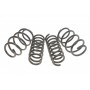 Комплект пружин (Pro-Kit) BMW X3 (G01/F97) 2.0 (B47/B48)/X3 (G01) 2.0 (B47)/X4 (G02/F98) 17- (4 шт.)