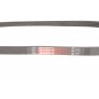 Ремінь генератора Honda Civic VI/Nissan Primera 1.3-6.0 87-