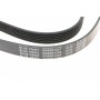 Ремінь генератора Hyundai i30/ Tucson/ ix20 1.4i-1.6 07-/ Kia Cee'd/Picanto/ Soul 1.0-1.6 06-
