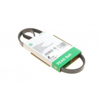 Ремінь генератора Honda Civic VI/Nissan Primera/Citroen Berlingo 1.4-1.6 16V 94-05 (4PK800)