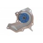 Комплект ГРМ + помпа Ford Focus 98-12/Fiesta 1.4/1.6 96-08 (22x117z)