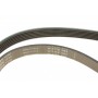 Ремінь генератора Citroen Jumpy/Peugeot 3008/5008/Expert 2.0BlueHDi 16- (6PK1230)
