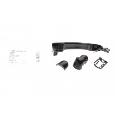 Ручка дверей (передніх/задньої/ззовні) Renault Megane/Scenic 02-09