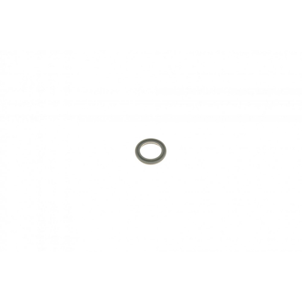 Ремкомплект супорта (заднього) Opel Astra G/Zafira 98-05 (d=38mm) (Bosch) (+поршень)