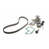 Комплект ГРМ + помпа Ford C-Max/Fiesta/Focus/Mondeo 1.25/1.4/1.6 05-/Volvo 1.6 07-12 (117x22)(PA990)