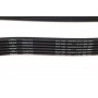 Ремінь генератора VW Golf 2.3 V5 97-00 (6DPK1350)