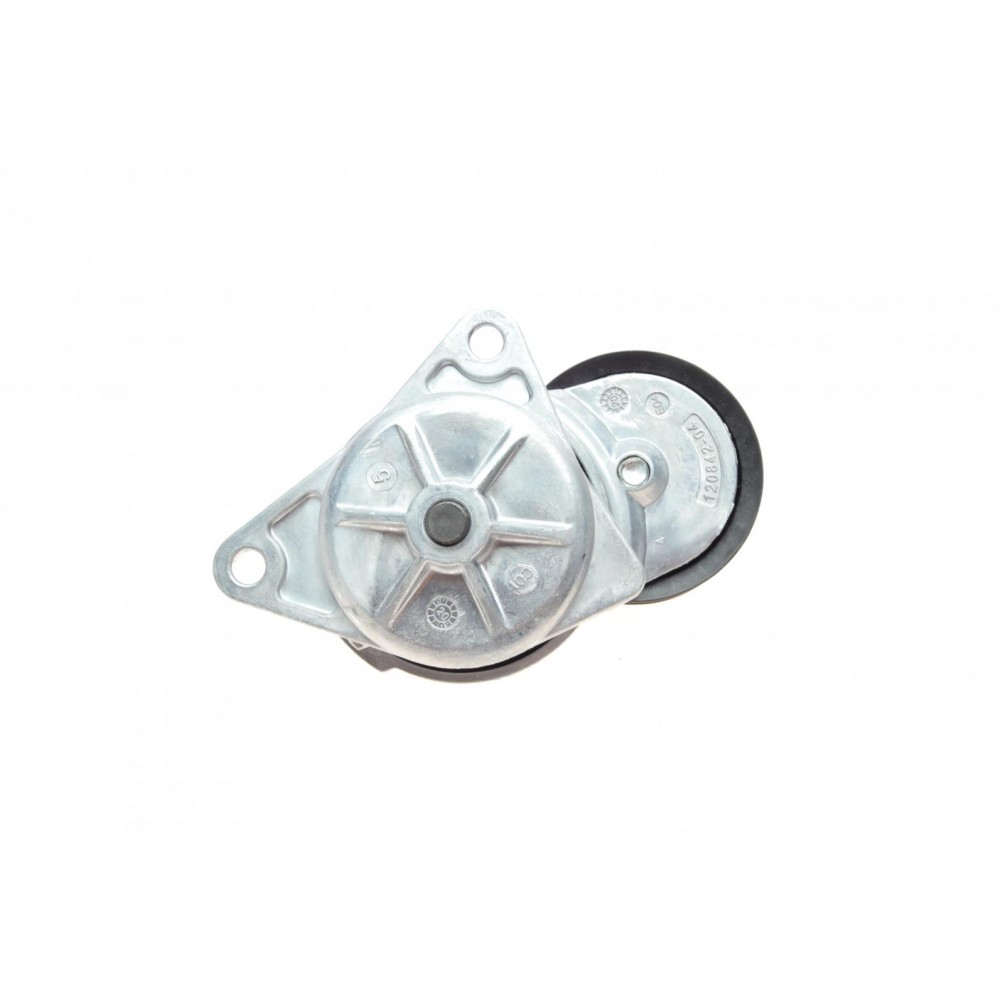 Натяжник ременя генератора Ford Transit Connect 1.8 16V 02-13