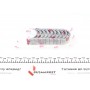 Вкладиші корінні VW Caddy III 1.6 04-15 (STD) = 6050020000