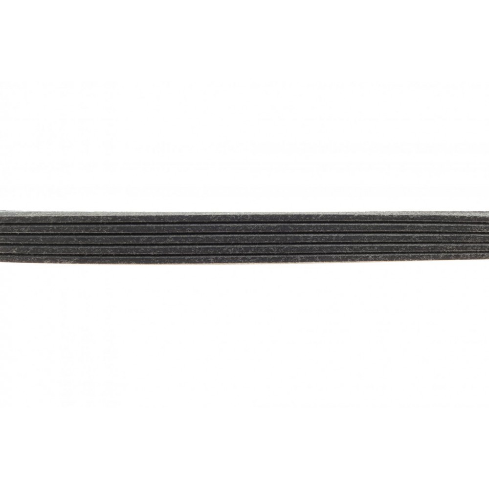 Ремінь генератора Renault Kangoo 1.2i 97-/Subaru Impreza 2.0 05-07/Nissan Pathfinder 4.0 05- (5PK875)