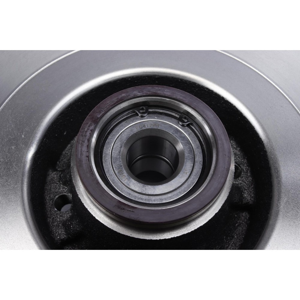 Диск гальмівний (задній) Renault Scenic II/Megane II 03-10 (270х10) (+ABS) (з підшипником) (повний)
