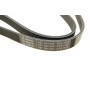 Ремінь генератора Citroen Jumper/Peugeot Boxer 3.0HDI (6PK1165)