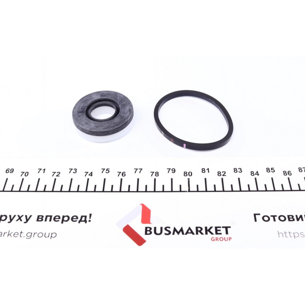 Ремкомплект циліндра гальмівного (головного) VW Crafter 06- (d=25,4mm) Bosch