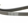 Ремінь генератора Peugeot 206/406/806/Expert/Fiat Scudo/Citroen C5/C8/Jumpy 1.9D/2.0HDI 95-