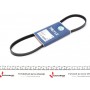 Ремінь генератора Fiat Fiorino/Nissan Primera 1.6 90-03 (4PK913)