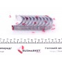 Вкладиші корінні VW Golf III/IV/T3/T4 1.9TDI (+0.25) = 6050122500