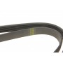 Ремінь генератора Citroen Jumpy /Fiat Scudo/Peugeot Expert 2.0 i/ Renault Kangoo 1.9D 97- (6PK1190)