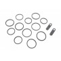 Ремкомплект супорта (переднього) Jaguar XK 06-14 (d=30mm) (Alcon)