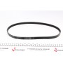 Ремінь генератора Hyundai Accent 1.4-1.6 95-10/Kia Cerato 1.6 04-/Rio II 1.4/1.6 05-