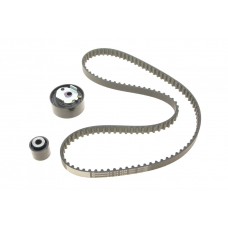 Комплект ГРМ Citroen C3/C4/Peugeot 208/308/2008/3008 1.2THP 13- (16x118z)