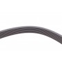 Ремінь генератора Opel Vectra/Astra G 2.0/2.2 DTI 00-05/Renault Koleos 2.5 08-